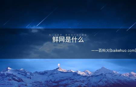 鲜网是什么