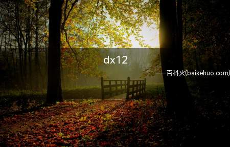 dx12是什么意思