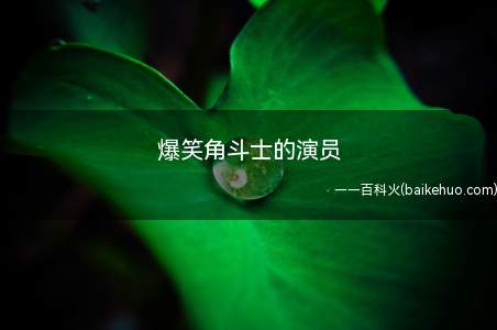 爆笑角斗士的演员