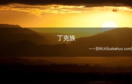 丁克族是什么意思