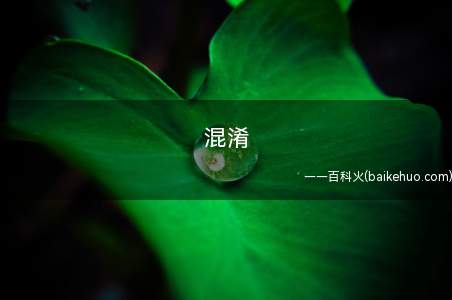 混淆是什么意思