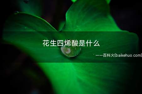 花生四烯酸是什么
