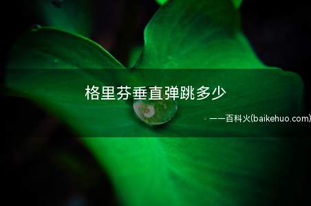 格里芬垂直弹跳多少