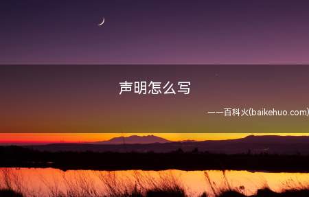 声明怎么写