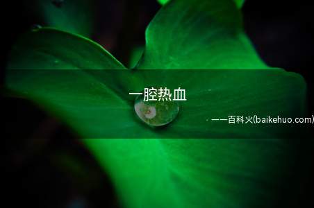 一腔热血是什么意思