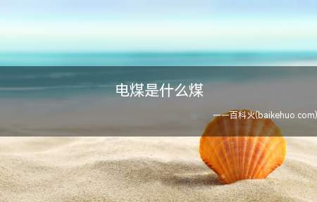 电煤是什么煤