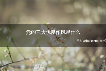 党的三大优良作风是什么