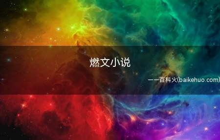 燃文小说是什么意思