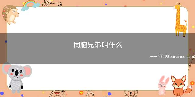 同胞兄弟叫什么