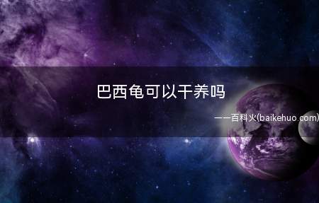 巴西龟可以干养吗