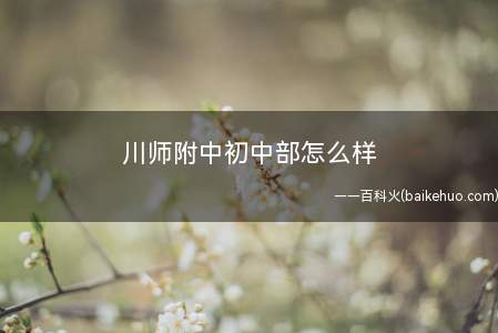 川师附中初中部怎么样