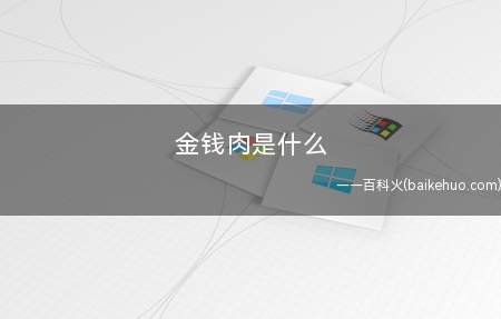 金钱肉是什么