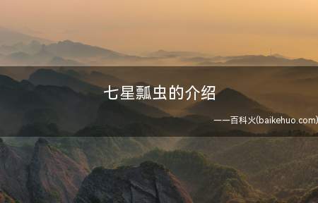 七星瓢虫的介绍
