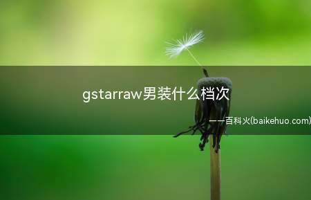 gstarraw男装什么档次