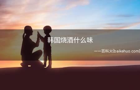 韩国烧酒什么味