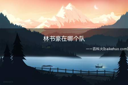 林书豪在哪个队