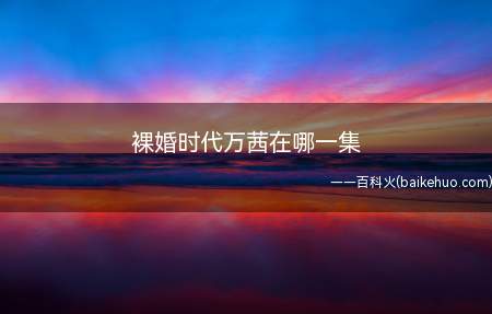 裸婚时代万茜在哪一集