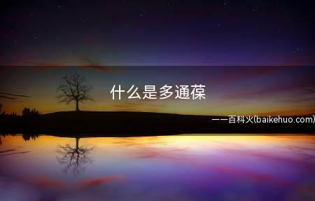 什么是多通葆