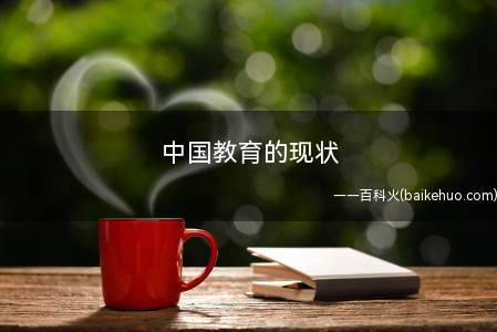 中国教育的现状