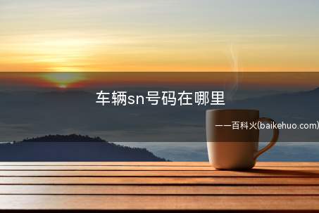车辆sn号码在哪里