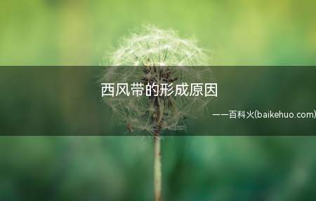 西风带的形成原因