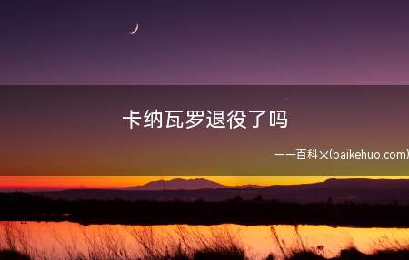卡纳瓦罗退役了吗
