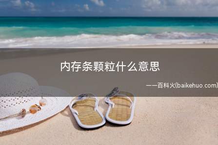 内存条颗粒什么意思
