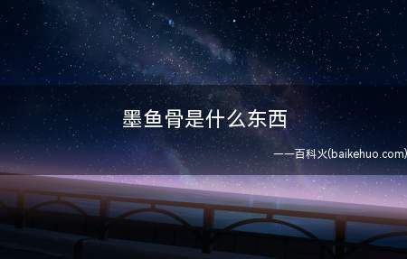 墨鱼骨是什么东西