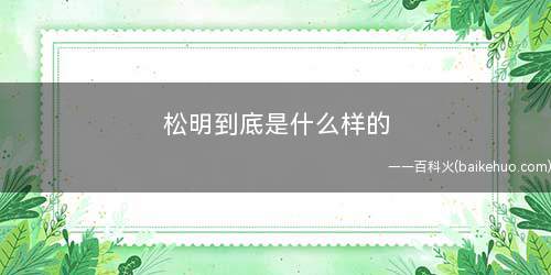 松明到底是什么样的