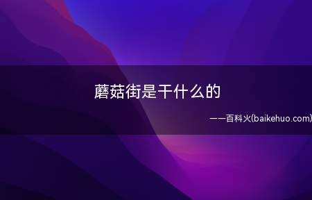 蘑菇街是干什么的