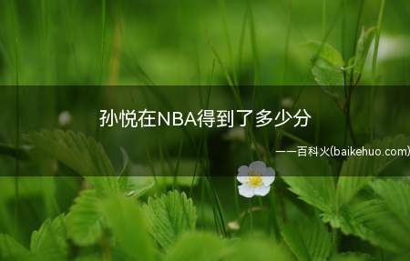 孙悦在NBA得到了多少分