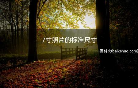 7寸照片的标准尺寸