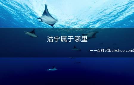 沽宁属于哪里