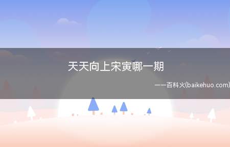 天天向上宋寅哪一期