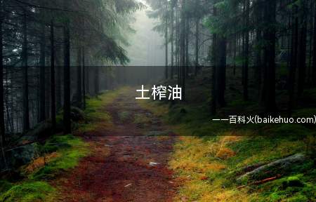 土榨油是什么意思