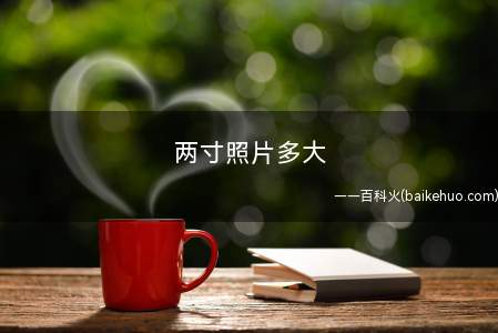 两寸照片多大