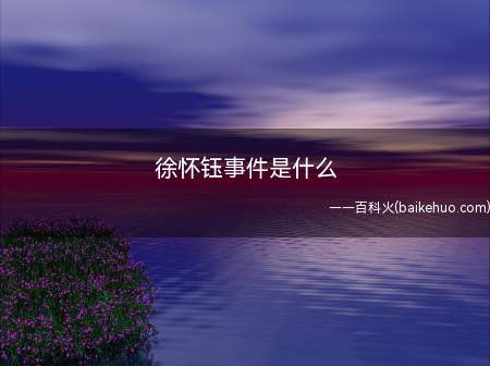 徐怀钰事件是什么