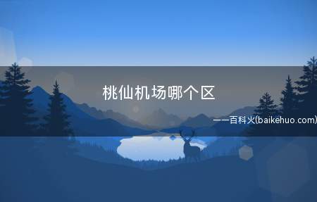 桃仙机场哪个区