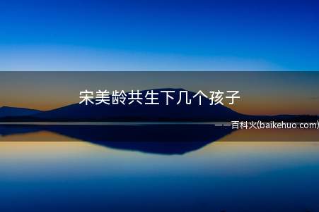 宋美龄共生下几个孩子