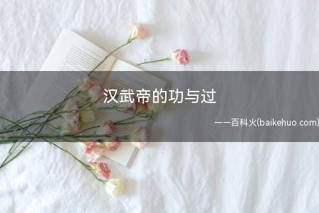 汉武帝的功与过