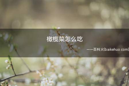 橄榄菜怎么吃