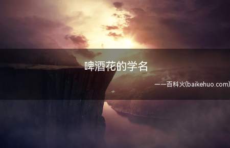啤酒花的学名