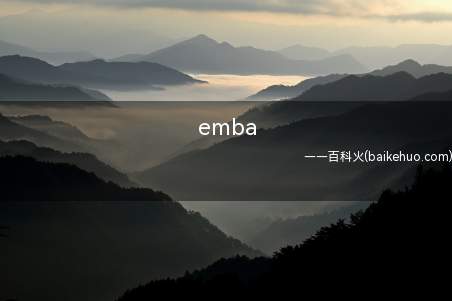 emba是什么意思