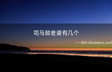 司马懿老婆有几个