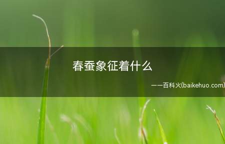 春蚕象征着什么