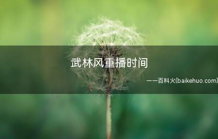 武林风重播时间