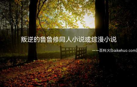 叛逆的鲁鲁修同人小说或综漫小说