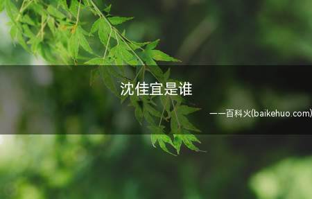 沈佳宜是谁