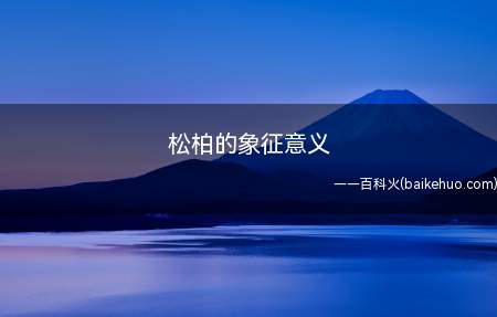 松柏的象征意义