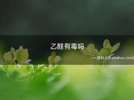 乙醛有毒吗